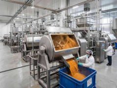 Precise Food Ingredients Inc Food Processing Supplies: Custom Seasonings, Coatings, and Blending Guide Industrial food processing facility producing dry seasoning blend in a large stainless steel mixing machine